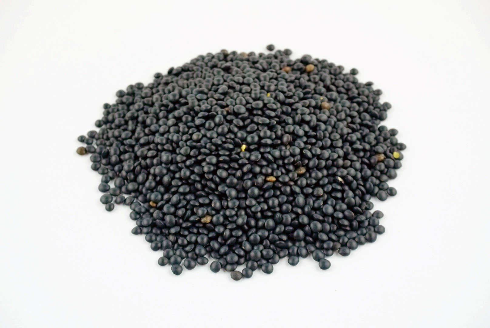 Lentils, Black, 1 lb.