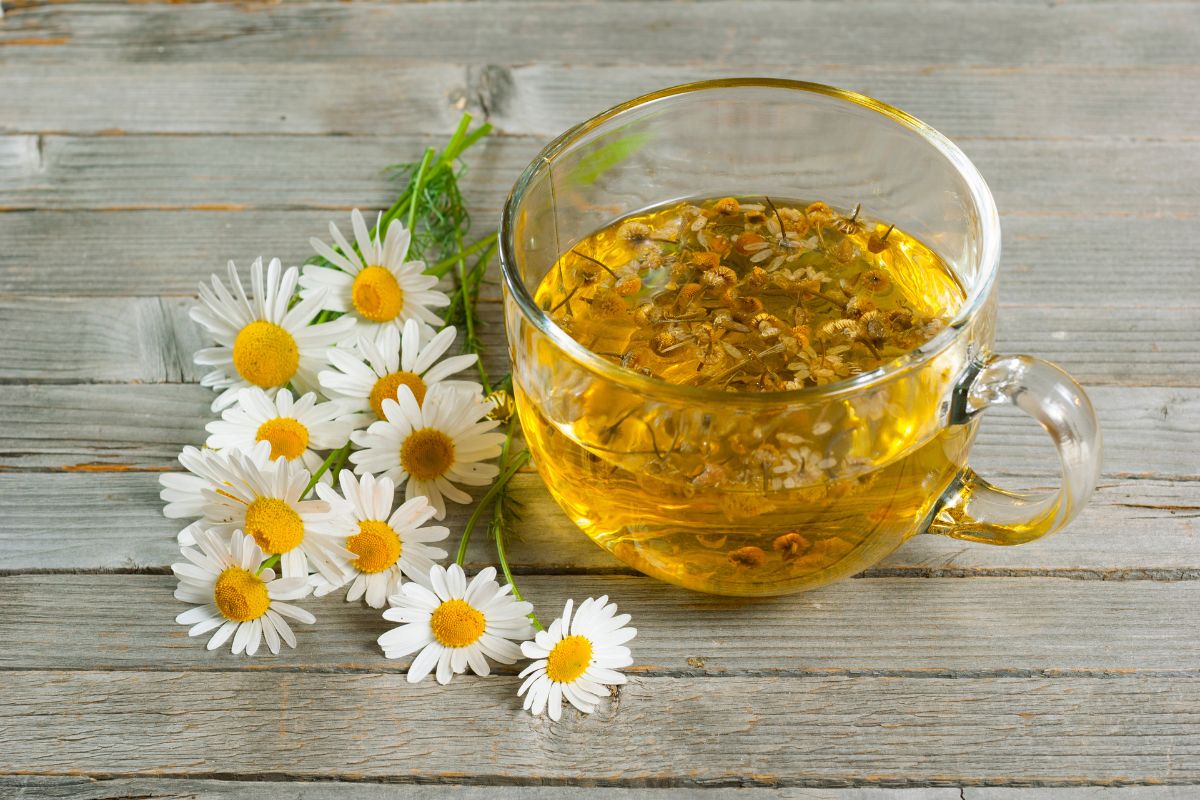 Chamomile Flower Tea, Organic, 2 oz.