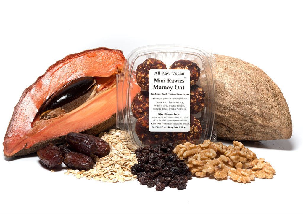 Mamey Oat Mini Rawie, 3.5 oz.