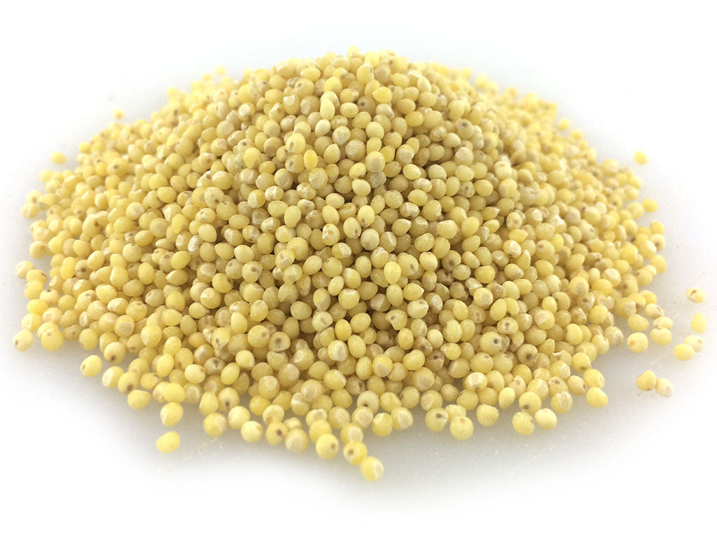 Millet, Hulled & Sproutable 16 oz.