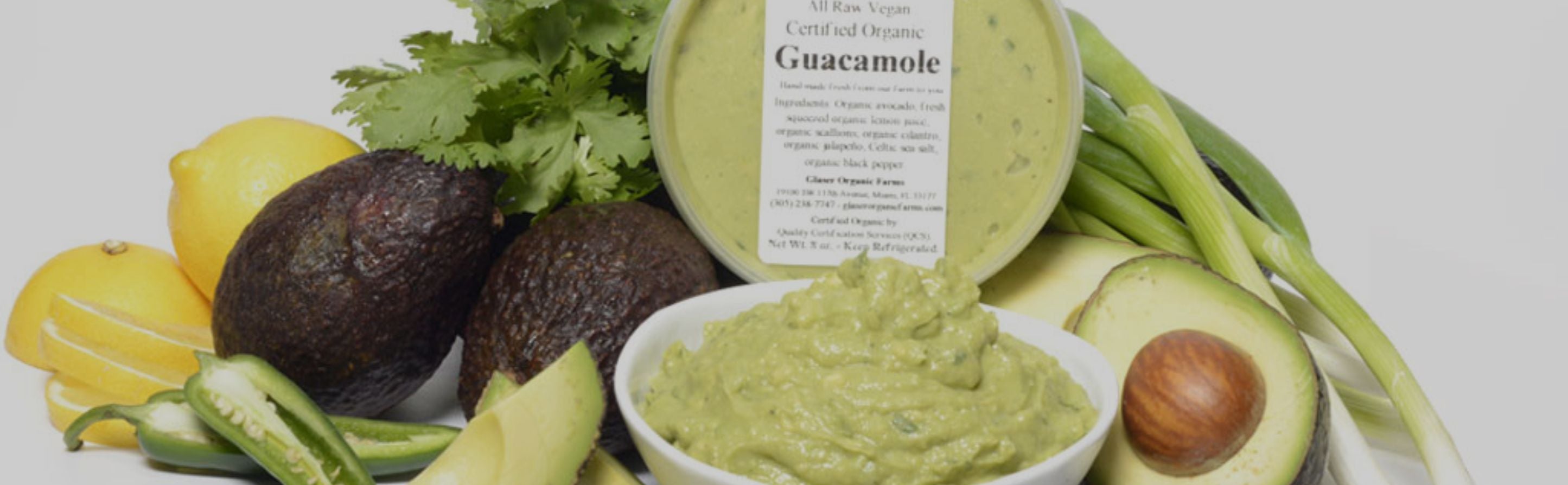 Salsa & Guacamole