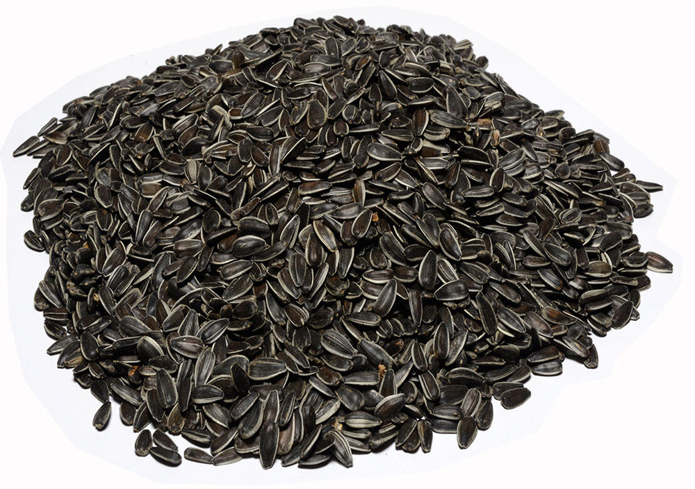 Black Oil Sunflower Seeds - Certified Organic